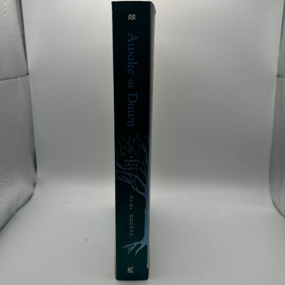 Awake at Dawn by C.C. Hunter a Shadow Falls novel 2011 softcover supernatural - Picture 3 of 6